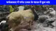 UP NEWS: पंडाल में चल रहा था देवी जागरण, अचानक पंडाल में घुस गया सांड, जान बचाकर भागने लगे लोग