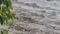 Bansagar Opens 8 Gates 3277 Cumecs Water Released Into Son
