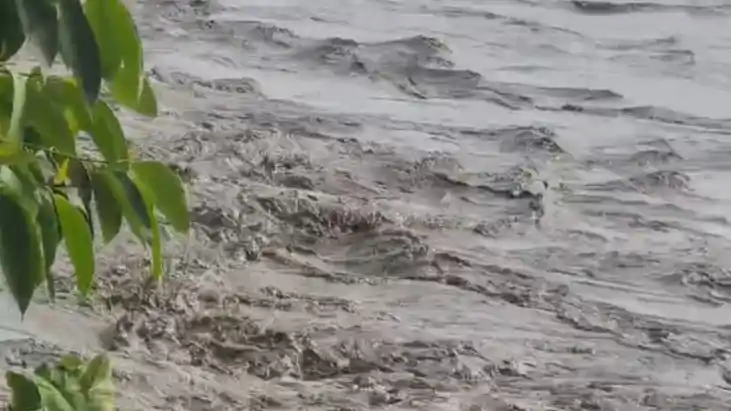 Bansagar Opens 8 Gates 3277 Cumecs Water Released Into Son