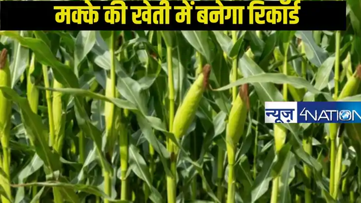 बिहार का यह इलाका करेगा रिकॉर्ड उत्पादन,40 लाख टन  होगी पैदा