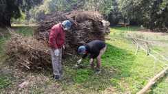 Bihar News : कटिहार में 'बर्ड फ्लू' की आहट ! कुरसेला में 100 से अधिक कौवों की संदिग्ध परिस्थिति में हुई मौत, इलाके में मचा हड़कंप