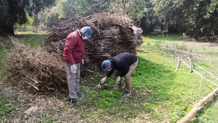 Bihar News : कटिहार में 'बर्ड फ्लू' की आहट ! कुरसेला में 100