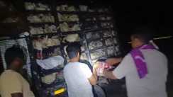 Gopalganj Beer smuggling