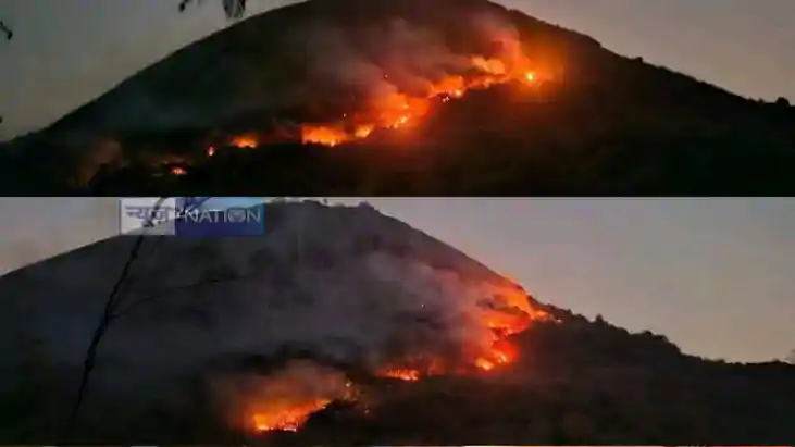 Massive fire in the forests of Mandar Mountain