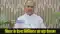 Bihar Cancer Hospital