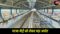 Patna Metro