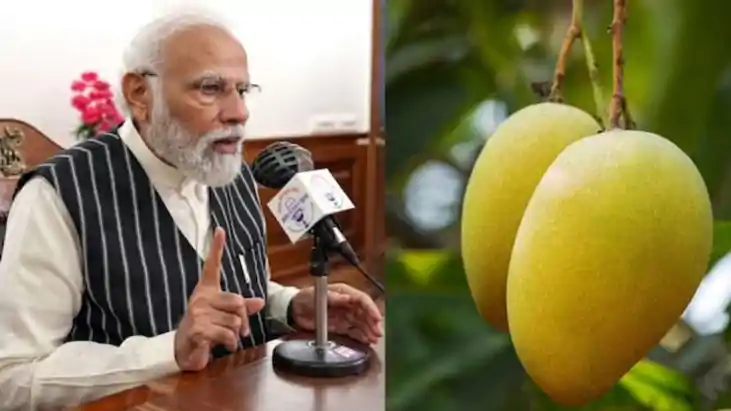 PM Modi Praises Bhagalpur Jardalu Mango in Mann Ki Baat