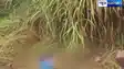 Samastipur Young Woman Found Dead Murder Suspected