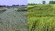 Bihar Cyclonic storm
