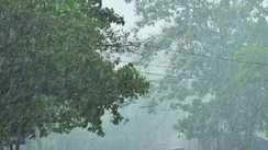 Bihar Weather