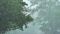 Bihar Weather
