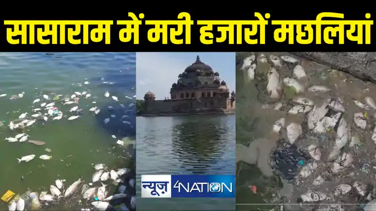 ऐतिहासिक शेरशाह सूरी के तालाब में एक साथ मरी हजारों मछलियां, ऐतिहासिक शेरशाह सूरी के तालाब में एक साथ मरी हजारों मछलियां,