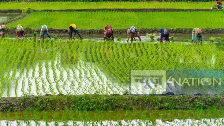 Jharkhand News : झारखंड सरकार ने किसानों को दी बड़ी सौगात,बज