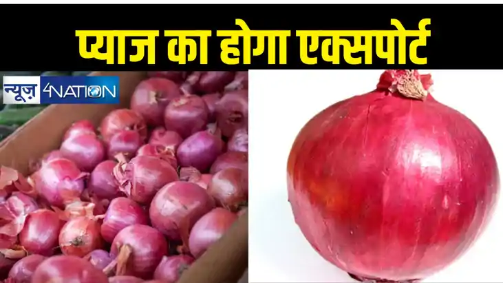 प्याज के निर्यात पर प्रतिबंध हटा, केंद्र के निर्णय से क्या फ प्याज के निर्यात पर प्रतिबंध हटा, केंद्र के निर्णय से क्या फ