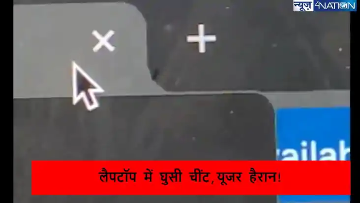 लैपटॉप स्क्रीन के अंदर रेंगती देखी चींटी, यूजर ने किए मजेदार