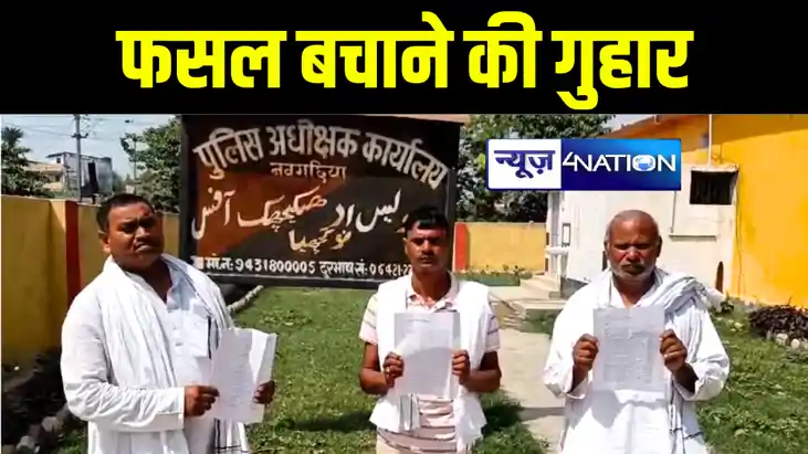 भागलपुर में दियारा की फसलों पर अपराधियों की निगाहें, किसानों