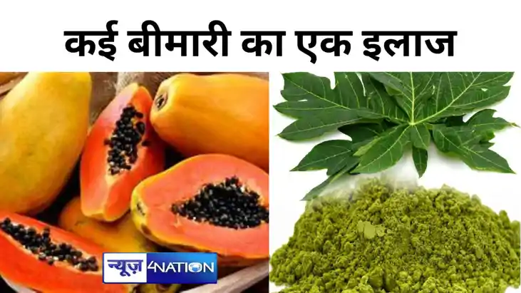 लिवर, किडनी और हार्ट की बीमारियों को दूर कर सकता है  इस फल ए