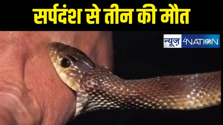 दिल दहलाने वाला मामला : जहरीले सांप ने एक ही परिवार के चार ब