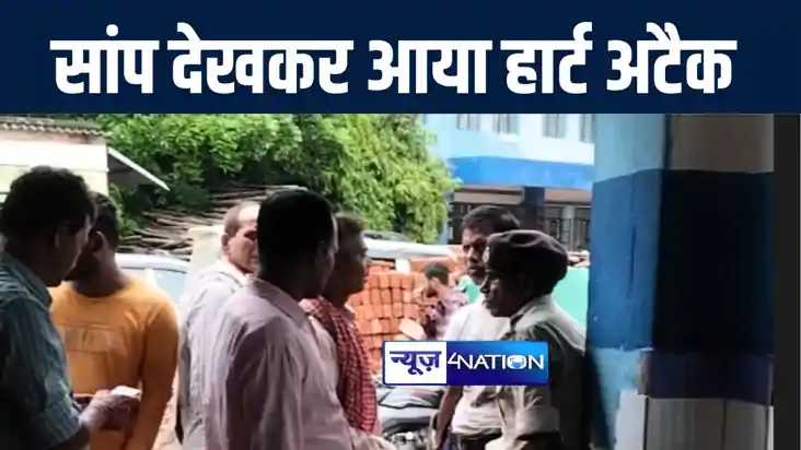 औरंगाबाद में करैत सांप को देख बेहोश हुई नवविवाहिता, इलाज के 