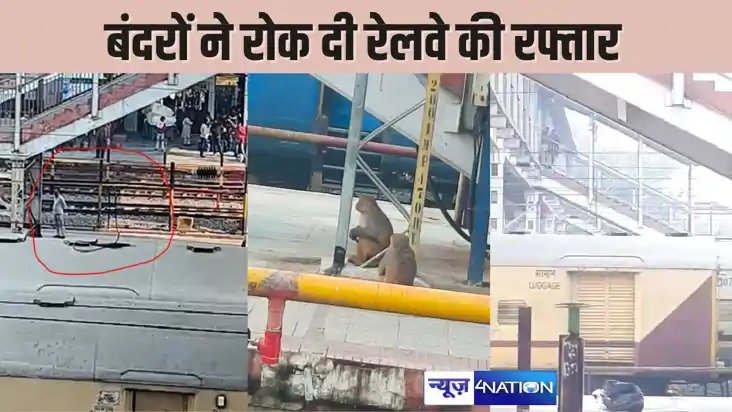 BIHAR NEWS  -बंदरों ने किया कुछ ऐसा कि बिहार के इस स्टेशन पर