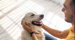 Mental Health Benefits of Pet Dogs