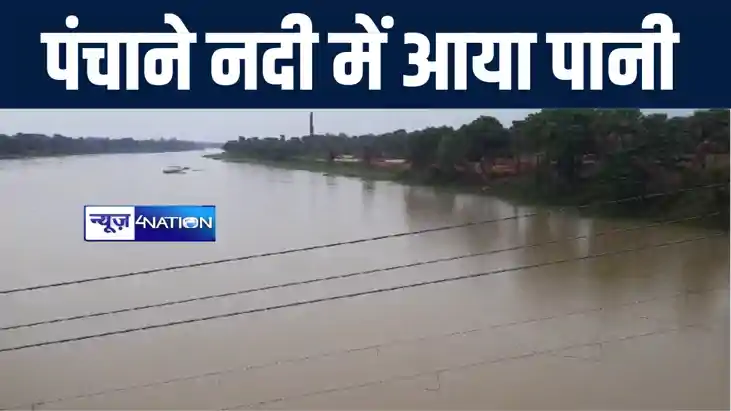 नालंदा में रुक रुक कर हो रही बारिश से किसानों की जगी उम्मीद, नालंदा में रुक रुक कर हो रही बारिश से किसानों की जगी उम्मीद,