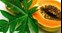 Papaya Leaves Benefits