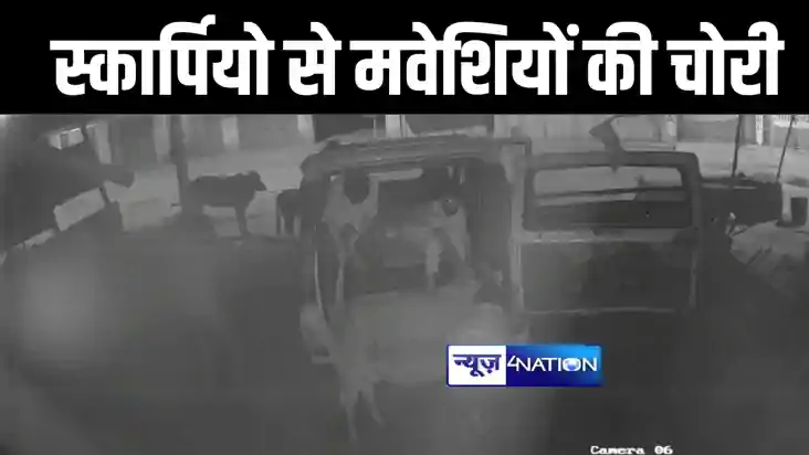 बिहार में हाईटेक हुए चोर ! किशनगंज में मवेशियों की चोरी कर स