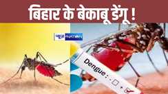 Dengue in Bihar