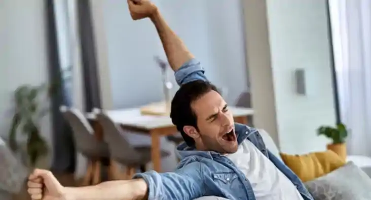 आलस