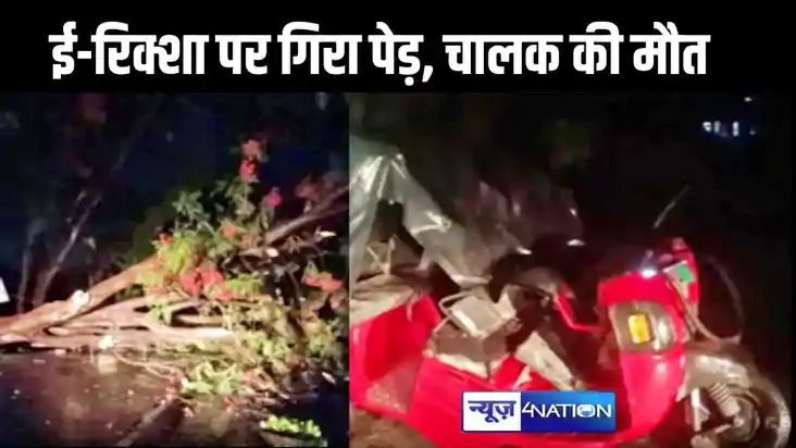 तेज आंधी से टूटा पेड़ ई-रिक्शा पर गिरा, हादसे में दबने से चा तेज आंधी से टूटा पेड़ ई-रिक्शा पर गिरा, हादसे में दबने से चा