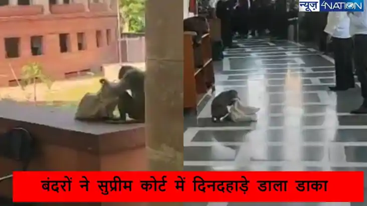 देश के सुप्रीम कोर्ट में दिन दहाड़े चोरी! मुंह ताकता रह गया 