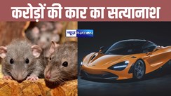 इस एक्टर के करोड़ों रुपए की कार का चूहों ने किया बुरा हाल, गाड़ी का कर दिया सत्यानाश 