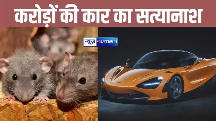 इस एक्टर के करोड़ों रुपए की कार का चूहों ने किया बुरा हाल, ग