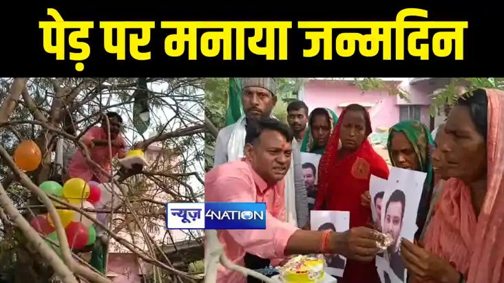 पेड़ पर मनाया जन्मदिन पेड़ पर मनाया जन्मदिन