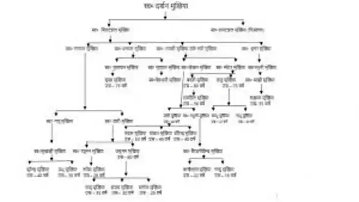 Bihar Land Survey: बहन और बुआ का नाम वंशावली में देना क्यों 