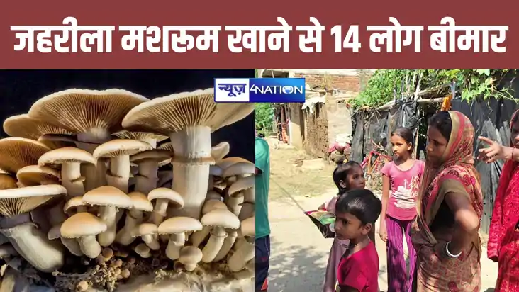बांका में जहरीला मशरूम की सब्जी खाने से मासूम बच्चे समेत 14 