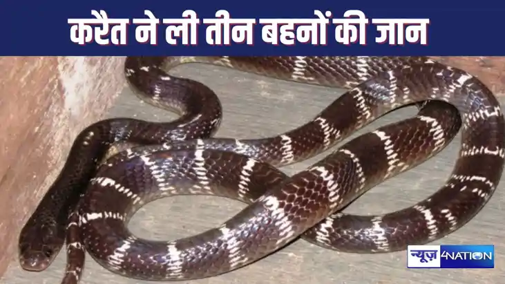 ओडिशा में गहरी नींद में सो रहे तीन बहनों और पिता को सांप ने ओडिशा में गहरी नींद में सो रहे तीन बहनों और पिता को सांप ने