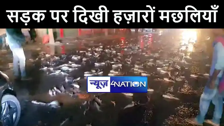 भागलपुर में सड़क पर दिखी हज़ारों मछलियाँ, लूटने के लिए लोगों म भागलपुर में सड़क पर दिखी हज़ारों मछलियाँ, लूटने के लिए लोगों म