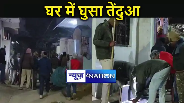 घर में घुसा तेंदुआ, परिवार वालों ने कमरे में किया बंद,रेस्क्